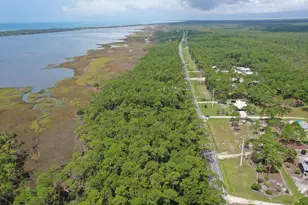 10806 Cr 30-A, Port Saint Joe, FL 32456 - Photo 1