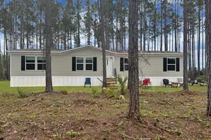 351 Douglas Landing Rd, Wewahitchka, FL 32465 - Photo 1