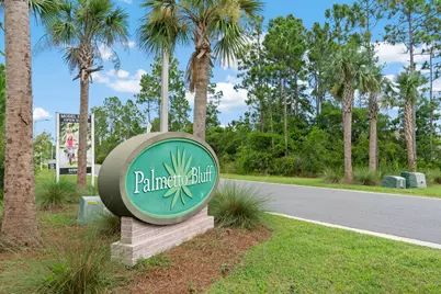 171 Cades Ct, Port Saint Joe, FL 32456 - Photo 47