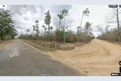 0022 SW McClellan Cemetery Rd, Clarksville, FL 32430 - Photo 3