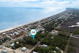 548 E Pine Ave, Saint George Island, FL 32328 - Photo 3