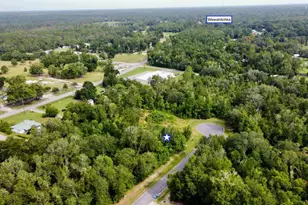 113 Little River Cir, Wewahitchka, FL 32456 - Photo 1