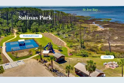 352 Cord Grass Way, Port Saint Joe, FL 32456 - Photo 11