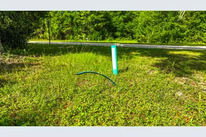 310 NW 10th St, Carrabelle, FL 32322 - Photo 3