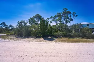 1100 W Pine Ave, Saint George Island, FL 32328 - Photo 1