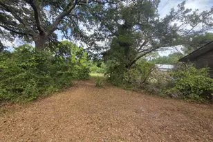 155 Doe Ln, Carrabelle, FL 32322 - Photo 77