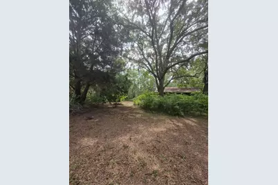 155 Doe Ln, Carrabelle, FL 32322 - Photo 73