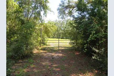 155 Doe Ln, Carrabelle, FL 32322 - Photo 17