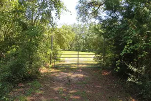 155 Doe Ln, Carrabelle, FL 32322 - Photo 17