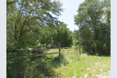 155 Doe Ln, Carrabelle, FL 32322 - Photo 11