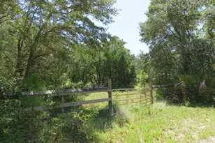 155 Doe Ln, Carrabelle, FL 32322 - Photo 11