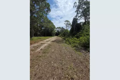 155 Doe Ln, Carrabelle, FL 32322 - Photo 83
