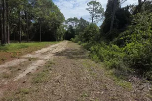 155 Doe Ln, Carrabelle, FL 32322 - Photo 83