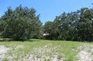 155 Doe Ln, Carrabelle, FL 32322 - Photo 19