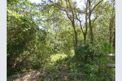155 Doe Ln, Carrabelle, FL 32322 - Photo 15