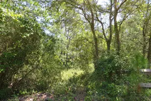 155 Doe Ln, Carrabelle, FL 32322 - Photo 15