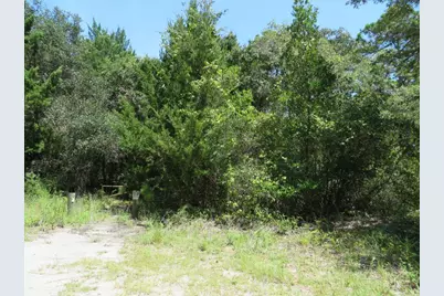 155 Doe Ln, Carrabelle, FL 32322 - Photo 13