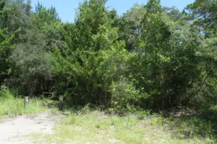155 Doe Ln, Carrabelle, FL 32322 - Photo 13
