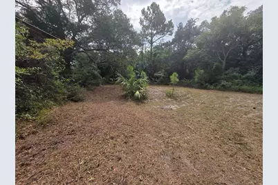 155 Doe Ln, Carrabelle, FL 32322 - Photo 75