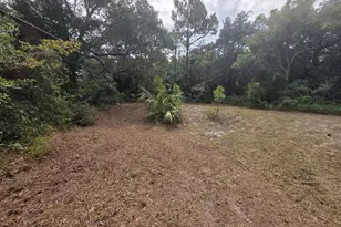 155 Doe Ln, Carrabelle, FL 32322 - Photo 75