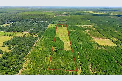 23610 NW Church Rd, Altha, FL 32421 - Photo 3