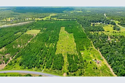 23610 NW Church Rd, Altha, FL 32421 - Photo 11