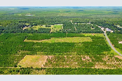 23610 NW Church Rd, Altha, FL 32421 - Photo 5