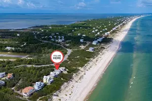1504 Canopy Ln, Saint George Island, FL 32328 - Photo 53