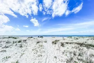 191 Sail Away Dr, Port Saint Joe, FL 32456 - Photo 87