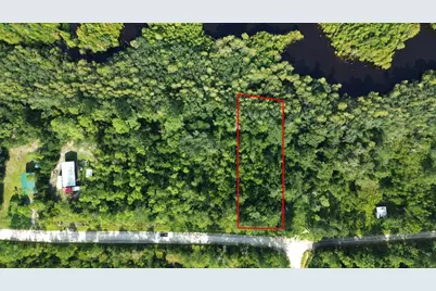 Lot 1 Dead Lakes Dr, Wewahitchka, FL 32465 - Photo 9