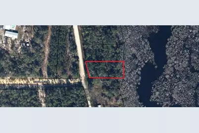 Lot 1 Dead Lakes Dr, Wewahitchka, FL 32465 - Photo 3