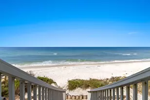 191 Tiffany Beach Rd, Cape San Blas, FL 32456 - Photo 41