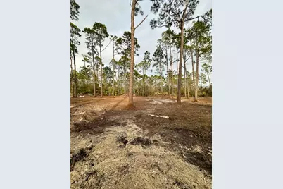Lot 12 Watermark Way, Port Saint Joe, FL 32456 - Photo 3