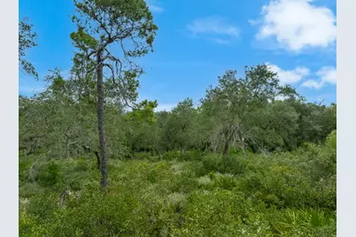 Tbd Durham Dr, Apalachicola, FL 32320 - Photo 13