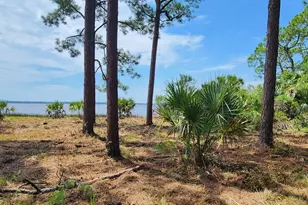 Lot 1 River Cove Rd, Panacea, FL 32346 - Photo 1