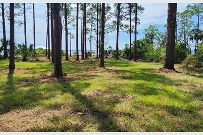 Lot 1 River Cove Rd, Panacea, FL 32346 - Photo 5