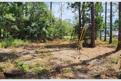 Lot 1 River Cove Rd, Panacea, FL 32346 - Photo 3
