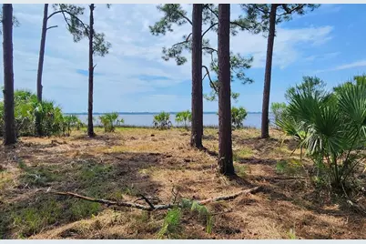 Lot 1 River Cove Rd, Panacea, FL 32346 - Photo 9