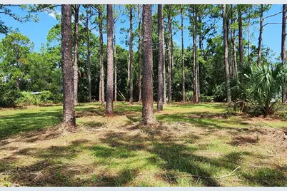 Lot 1 River Cove Rd, Panacea, FL 32346 - Photo 11