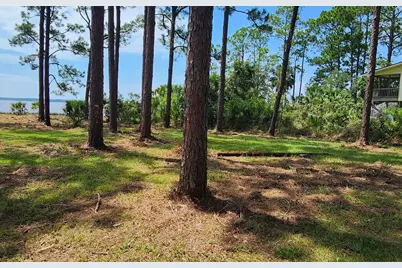 Lot 1 River Cove Rd, Panacea, FL 32346 - Photo 7
