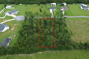 229 Edge Hill Rd, Wewahitchka, FL 32465 - Photo 1