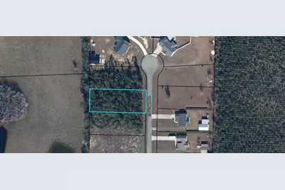 229 Edge Hill Rd, Wewahitchka, FL 32465 - Photo 9