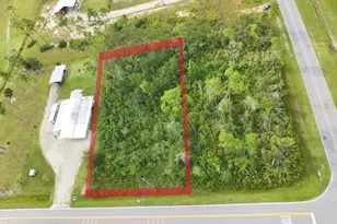 Lot 2 Borders Rd, Wewahitchka, FL 32465 - Photo 1