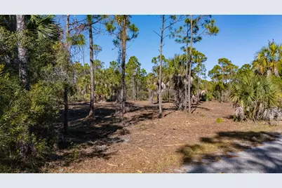 1944 Reed Ct W, Saint George Island, FL 32328 - Photo 11
