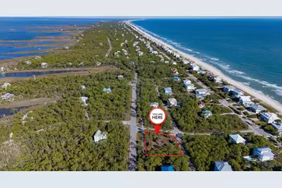 1944 Reed Ct W, Saint George Island, FL 32328 - Photo 3