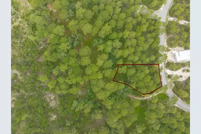 142 Lightning Bug Ln, Saint Teresa, FL 32358 - Photo 7