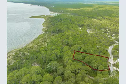 142 Lightning Bug Ln, Saint Teresa, FL 32358 - Photo 3