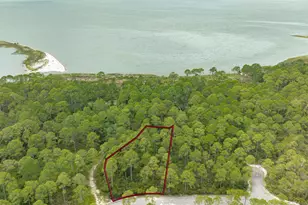 142 Lightning Bug Ln, Saint Teresa, FL 32358 - Photo 1