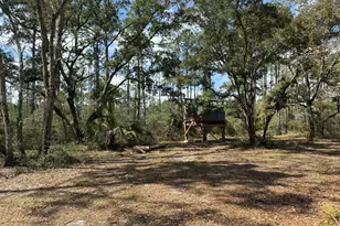 1073 Sr 65, Eastpoint, FL 32328 - Photo 1
