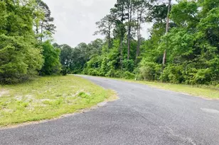 53 Bluewater Bay Circle, Carrabelle, FL 32322 - Photo 1
